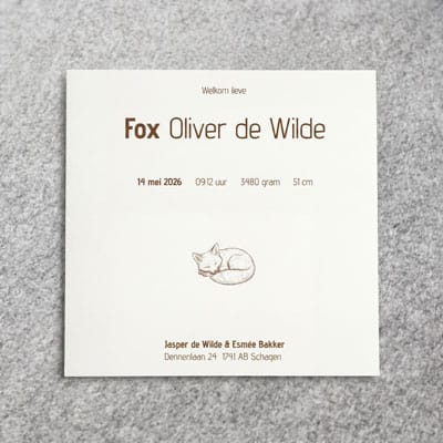 Kaart Fox Achterzijde